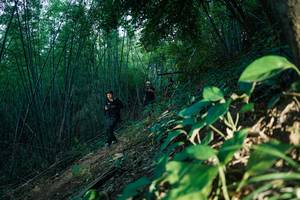 BIB: 
                            <button type="button" onclick="openModal(28124456)" class="btn btn-primary btn-sm float-right btn-popup" data-toggle="modal" data-target=".modal-high-quality">
                        <i class="fas fa-shopping-cart"></i> Add to Cart
                    </button>
                                            <button type="button" onclick="isThisMe(28124456, true)" class="btn btn-success btn-sm float-right btn-popup btn-isme hidden" data-toggle="tooltip" data-placement="bottom" title="นี่คือรูปของคุณใช่ไหม คลิกที่นี่เพื่อเอาเข้าอัลบั้ม">
                        <i class="fas fa-plus"></i> Add to album
                    </button>
                    <button type="button" onclick="isThisMe(28124456, false)" class="btn btn-warning btn-sm float-right btn-popup btn-isnotme hidden">
                        <i class="fas fa-ban"></i> Remove from album
                    </button>